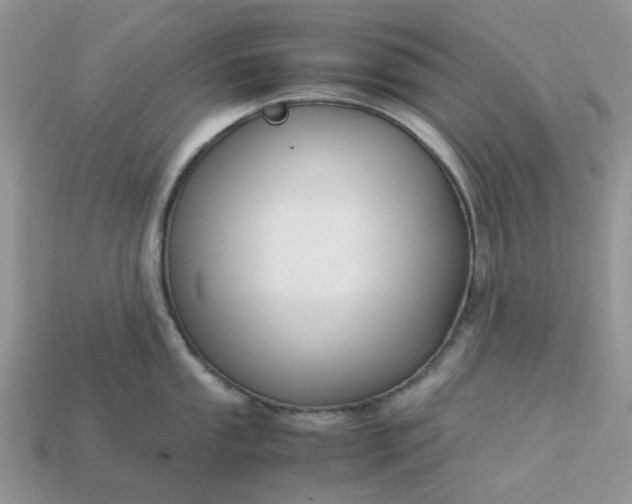 X0000113041053200909101914