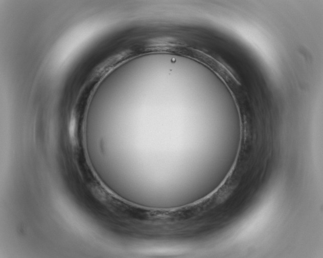 X0000113041054200909101914
