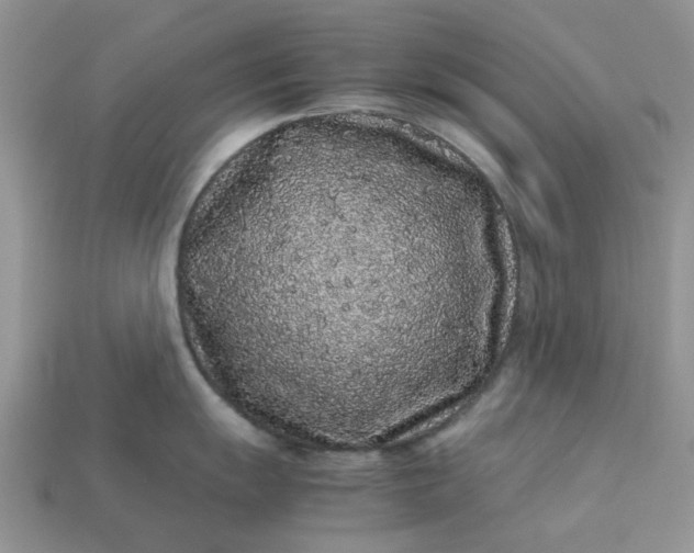 X0000113041055200909101914