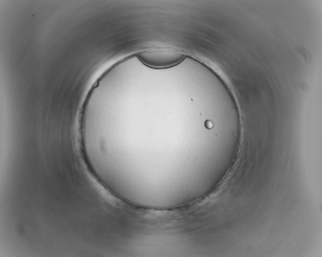 X0000113041056200909101914