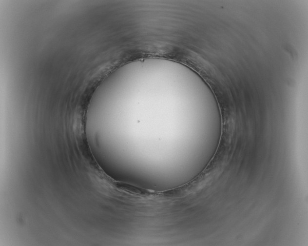 X0000113041058200909101914