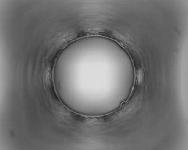 X0000113041059200909101914
