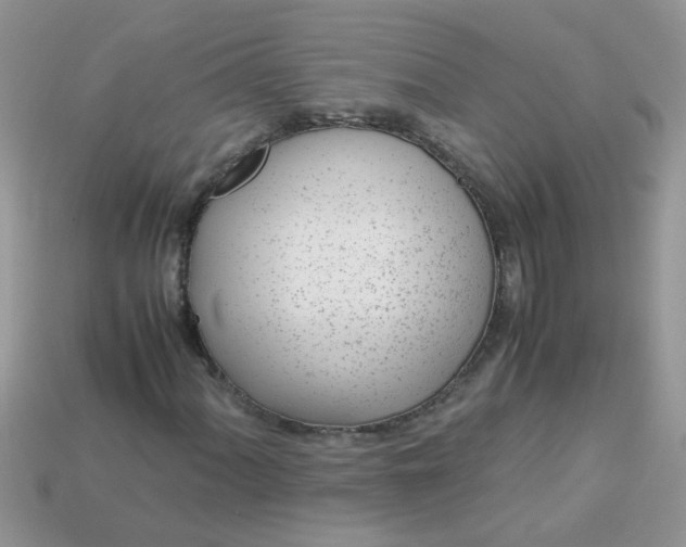 X0000113041060200909101914