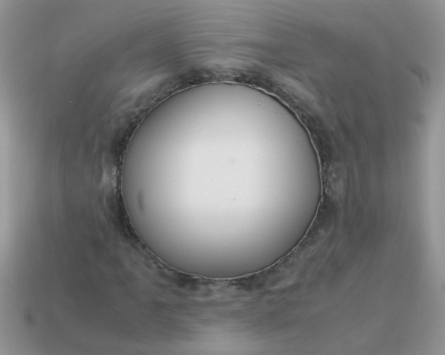 X0000113041061200909101914