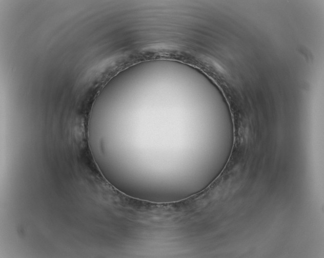 X0000113041062200909101913