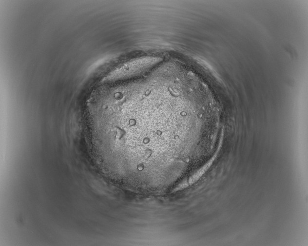 X0000113041063200909101913