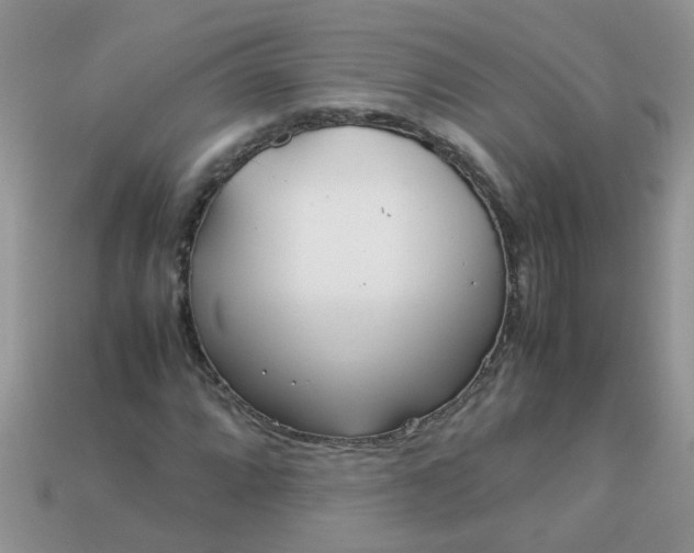 X0000113041064200909101913