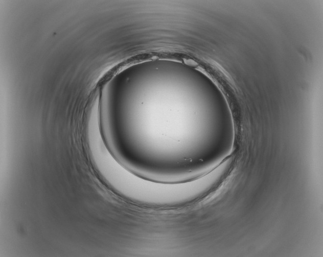 X0000113041065200909101913