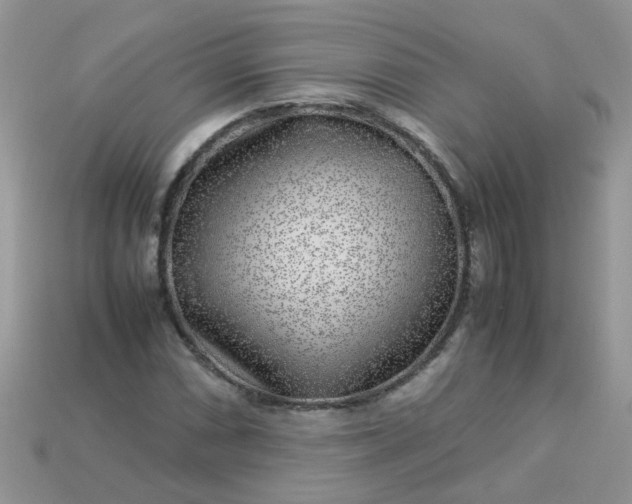 X0000113041066200909101913