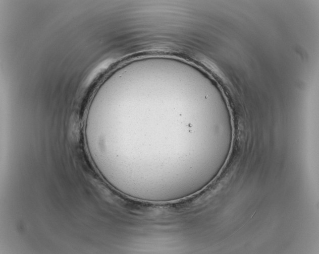 X0000113041067200909101913