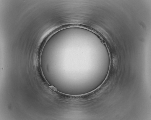 X0000113041069200909101913