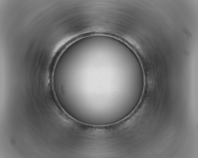 X0000113041070200909101913