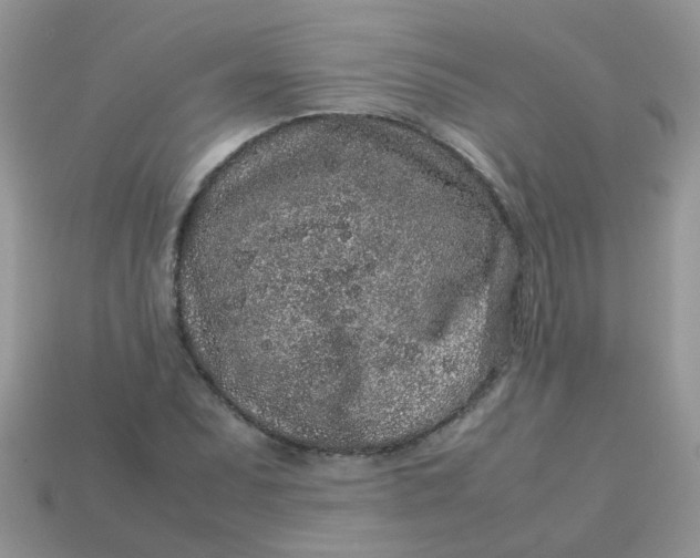 X0000113041071200909101913