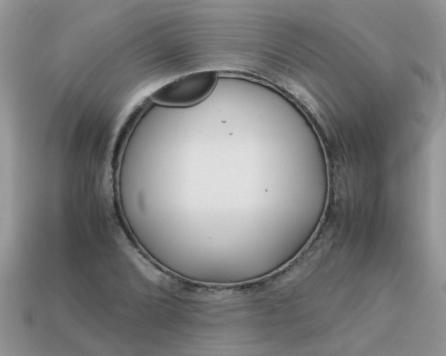X0000113041072200909101913