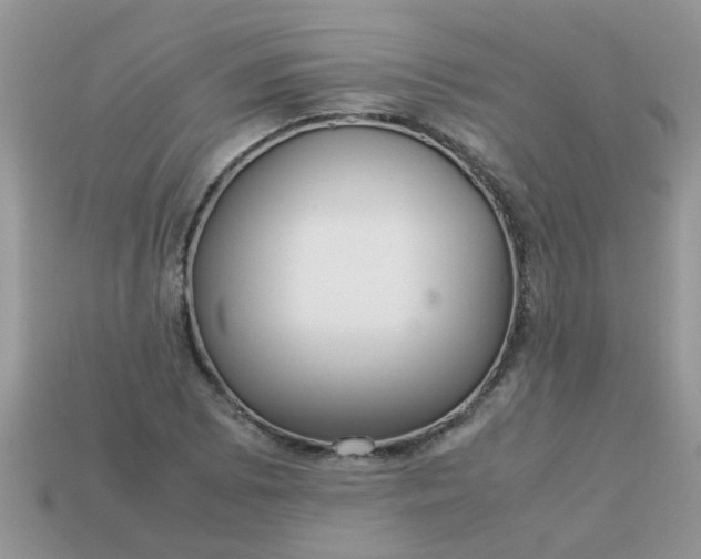 X0000113041073200909101913