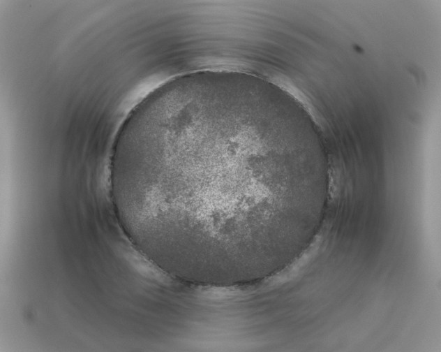 X0000113041074200909101913