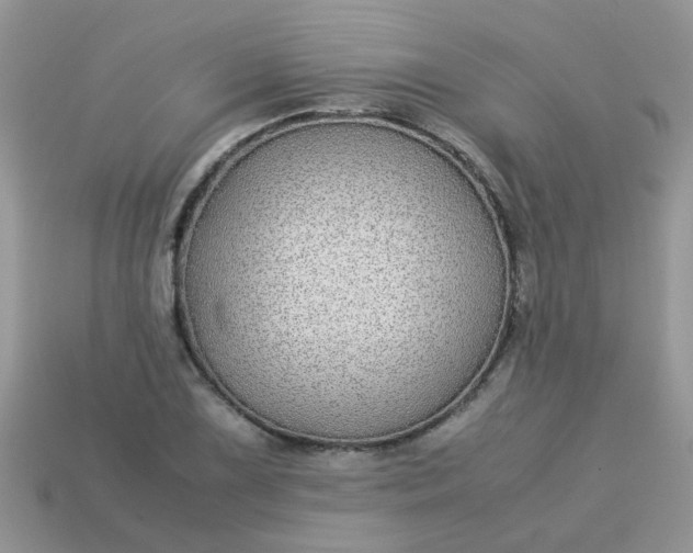 X0000113041075200909101913