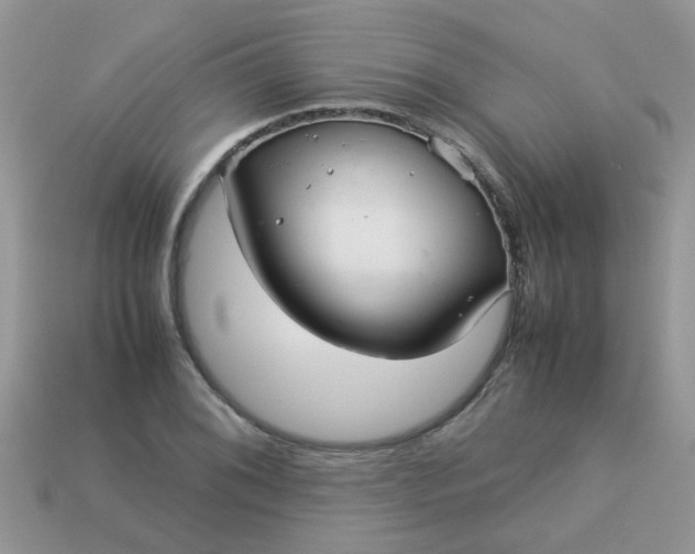 X0000113041076200909101913