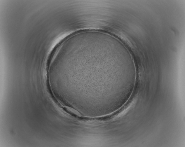 X0000113041077200909101913