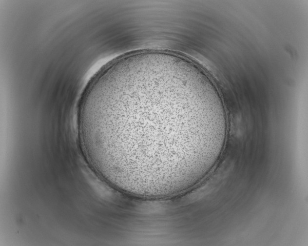 X0000113041078200909101913