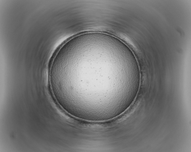 X0000113041079200909101913