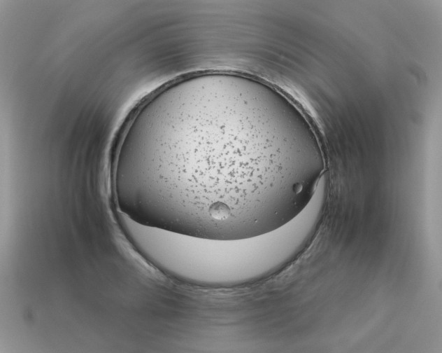 X0000113041080200909101913