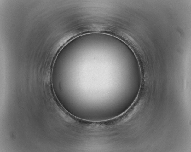 X0000113041081200909101913