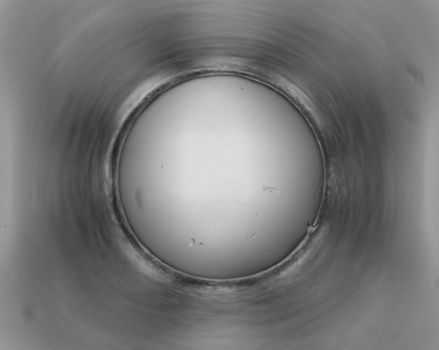 X0000113041082200909101913