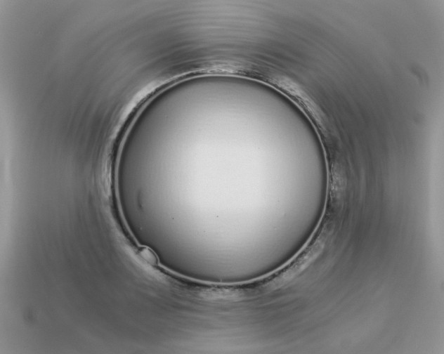 X0000113041083200909101913