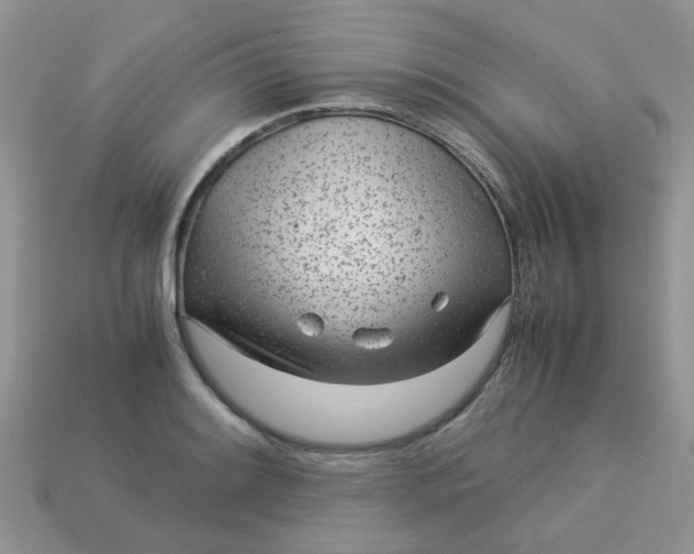 X0000113041084200909101913
