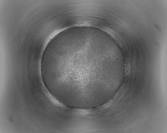 X0000113041086200909101913
