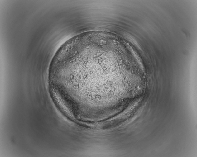 X0000113041087200909101913