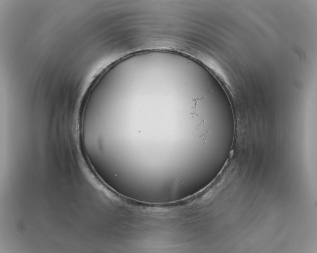 X0000113041088200909101913