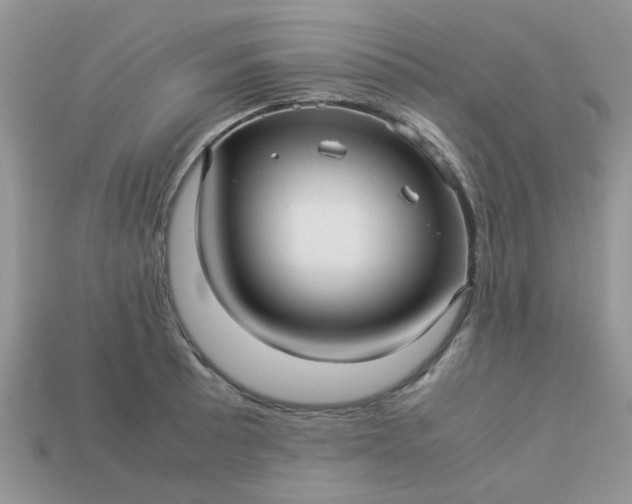 X0000113041089200909101913