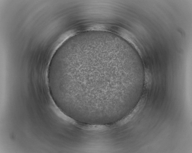 X0000113041090200909101913