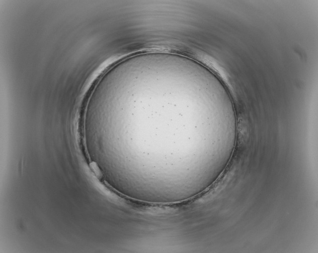 X0000113041091200909101913