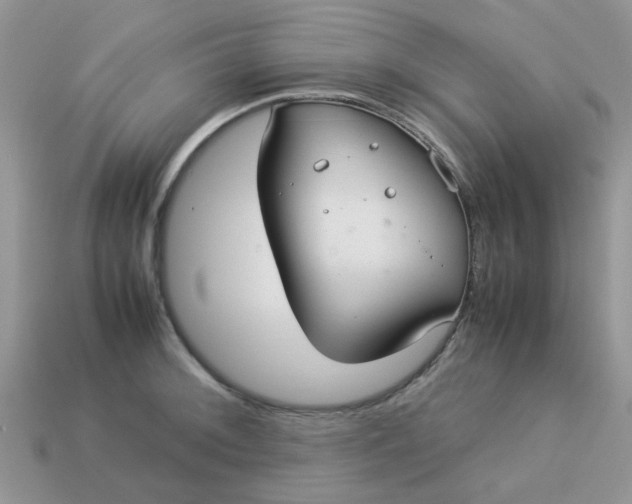 X0000113041092200909101913