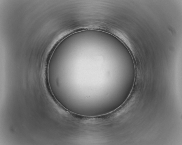 X0000113041093200909101913