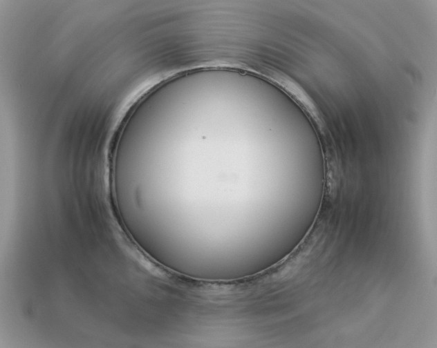 X0000113041096200909101913