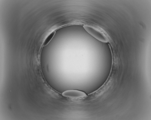 X0000113041097200909101913