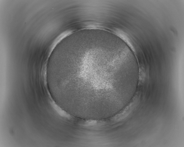 X0000113041098200909101913