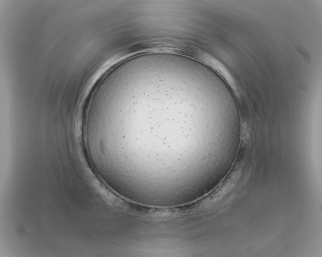 X0000113041099200909101913