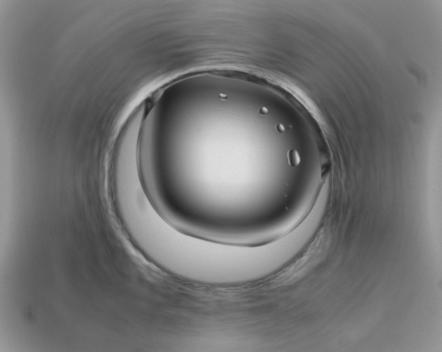 X0000113041101200909101913