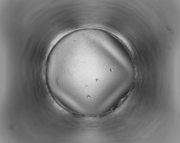 X0000113041102200909101913