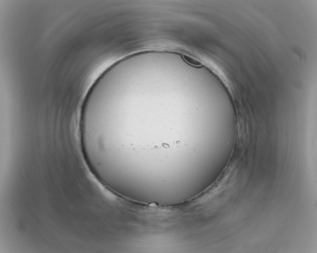 X0000113041103200909101913