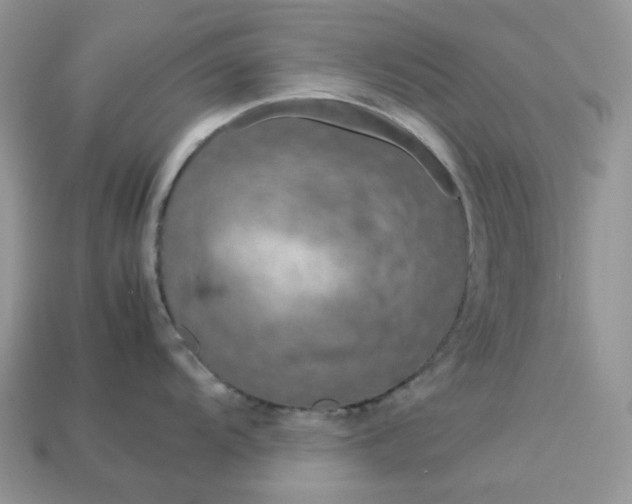 X0000113041104200909101913