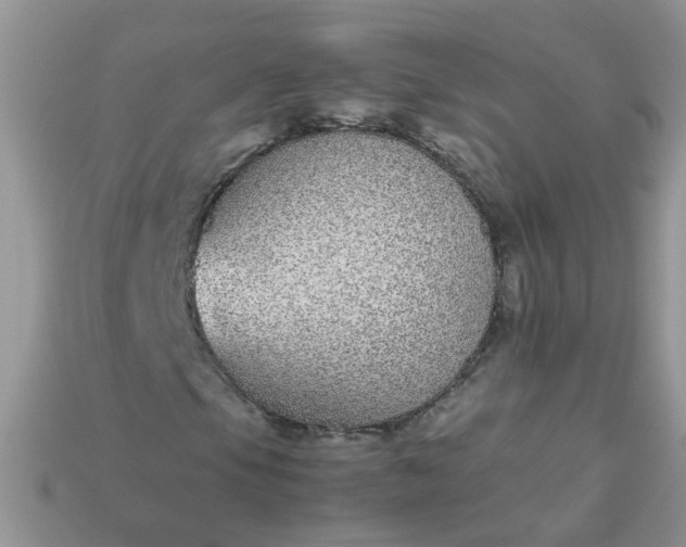 X0000113041105200909101912