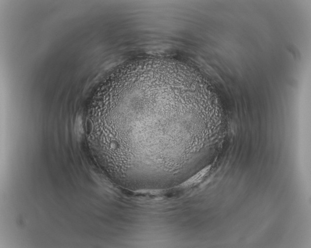 X0000113041106200909101912