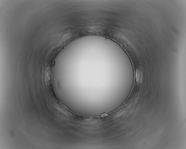 X0000113041107200909101912