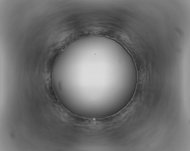 X0000113041109200909101912